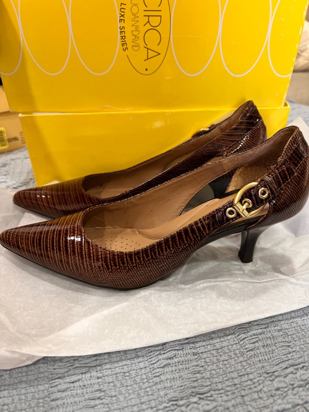 Joan & David Brown Croc-Embossed Pointed Slingback Pumps with Gold Buckle